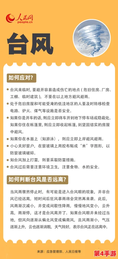 理解acca少女网课韩国的学习方法与技巧，助力学业提升与职业发展