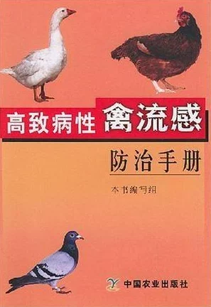 欧美人与禽ZoZ0性3D：真实世界中的多元文化交流和理解