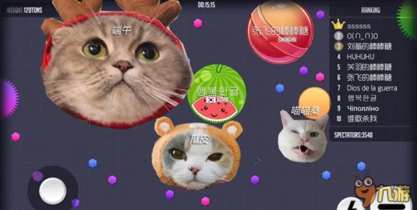 汤姆视频的最新网名tom：带你领略精彩有趣的内容与无限创意的乐趣分享