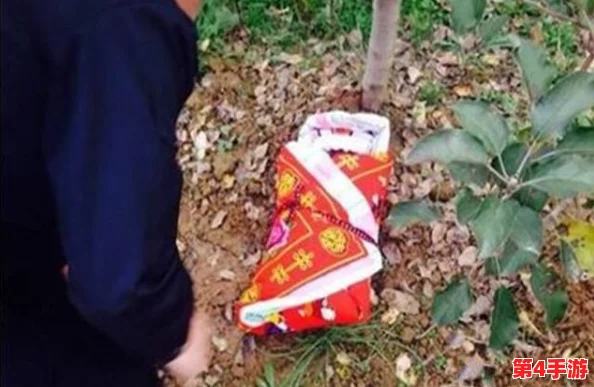 理解穿越火线关小雨拔萝卜的深层含义与游戏策略分析，带你领略其中的乐趣与挑战