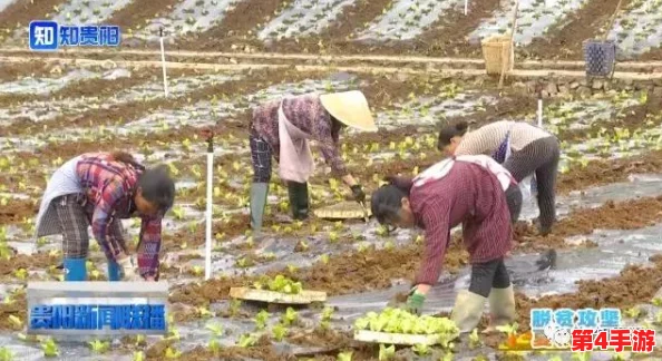 明日之后美食探索:蒸烤蔬菜的完美融合技巧与独家配方分享 明日之后美食探索:蒸烤蔬菜的完美融合技巧与独家配方分享
