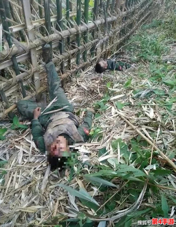 缅北活生生割下头颅网站,恶贯满盈终将覆灭 缅北活生生割下头颅网站,恶贯满盈终将覆灭