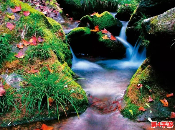 洞内泉淙淙洞外草萋萋：自然交响曲中的和谐与生命的诗意之美