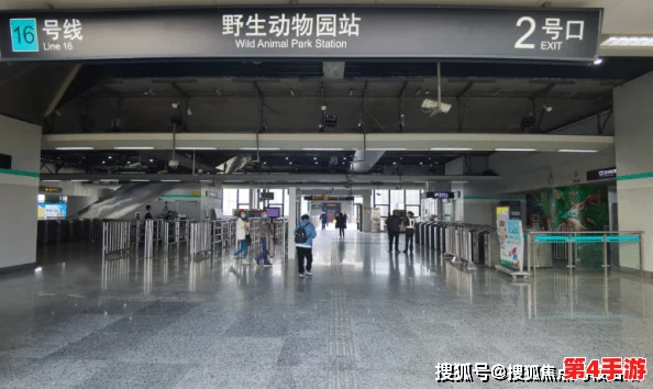 海角hj43.ccm：深入理解其背后的意义与影响，揭示更多潜在信息