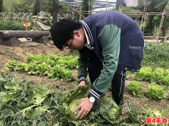 糖心娜娜:甜蜜与温暖交织的故事,带你走进她的生活与梦想世界 糖心娜娜:甜蜜与温暖交织的故事,带你走进她的生活与梦想世界