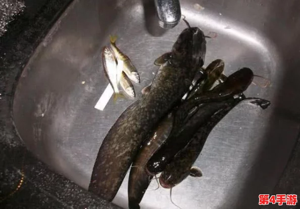 星露谷物语中寻觅鲶鱼踪迹：最佳垂钓地点与技巧指南