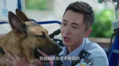 张警犬9分10秒头撞玻璃网盘,展现了勇敢无畏的精神和对工作的执着追求,让人倍感振奋! 张警犬9分10秒头撞玻璃网盘,展现了勇敢无畏的精神和对工作的执着追求,让人倍感振奋!