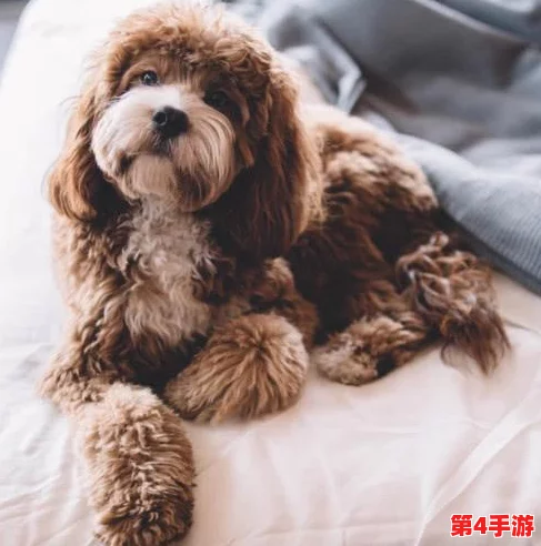 为什么二人生孩子完全不盖被子的背后有着怎样的科学与健康考量？