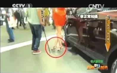沟厕一盗摄一偷拍一HD：警方破获系列隐私侵犯案件，受害者人数持续上升引发社会关注