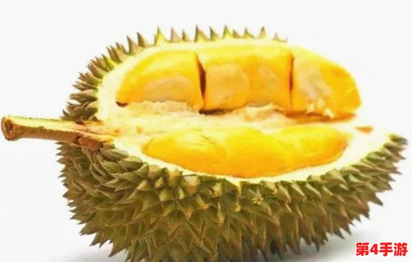 2024年最热话题:黄色榴莲视频引发的美食潮流与社交媒体挑战 2024年最热话题:黄色榴莲视频引发的美食潮流与社交媒体挑战