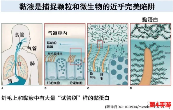 果冻传染煤片：科学家发现新型病毒可能通过食品传播，引发公众关注与讨论