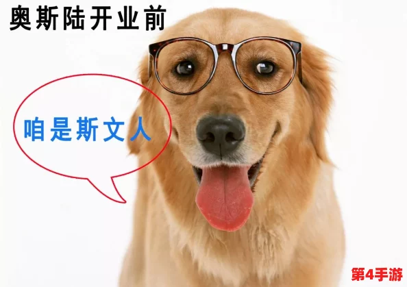 人狗胶配方大全狗狗播放,让宠物更健康快乐! 人狗胶配方大全狗狗播放,让宠物更健康快乐!