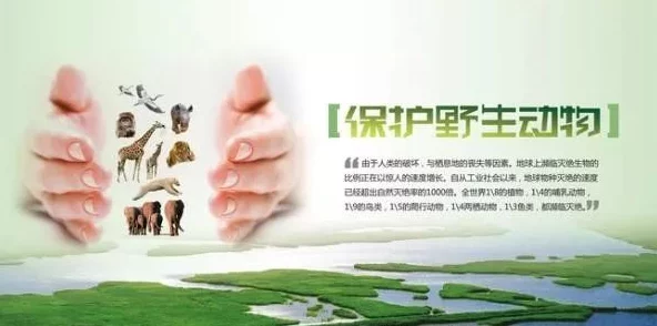 人与动物A级：探讨人类与动物之间的关系及其对生态环境的影响，呼吁保护野生动物的重要性