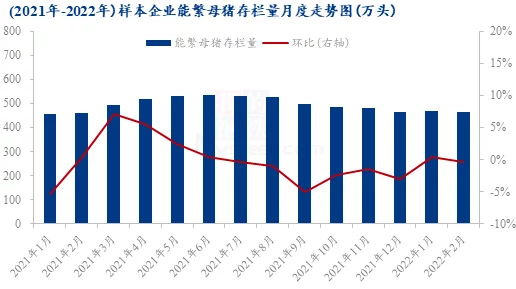 国产XXXXXL18–20:深入理解其市场定位与消费者需求的变化趋势分析 国产XXXXXL18–20:深入理解其市场定位与消费者需求的变化趋势分析