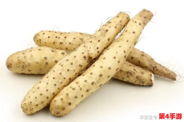 居家的粘液2:新一季带来更多创意玩法,家庭娱乐的全新选择与乐趣体验 居家的粘液2:新一季带来更多创意玩法,家庭娱乐的全新选择与乐趣体验