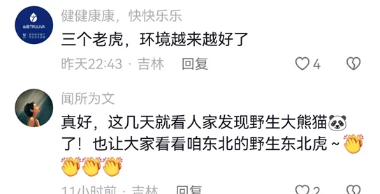 四虎最新地域网名曝光,网友热议背后含义与影响,引发广泛关注与讨论 四虎最新地域网名曝光,网友热议背后含义与影响,引发广泛关注与讨论