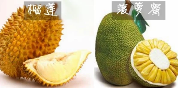 榴莲视频色版：用户评价称其内容丰富，画质清晰，是追剧爱好者的必备选择！