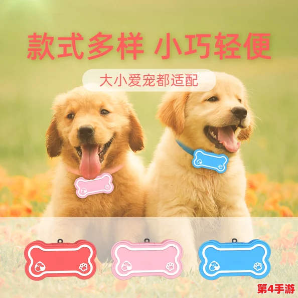 色狗导航：为您提供精准的宠物养护信息与服务，助力爱犬健康快乐成长！
