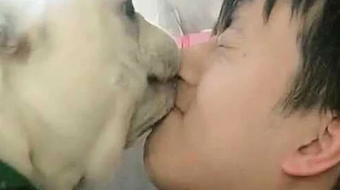 女人与公猪交交30分钟无遮挡,用户评价:内容刺激,情节引人入胜,让人欲罢不能! 女人与公猪交交30分钟无遮挡,用户评价:内容刺激,情节引人入胜,让人欲罢不能!