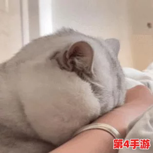 地下城与勇士》中，哪个宠物蛋最适合你的职业搭配与战斗风格？