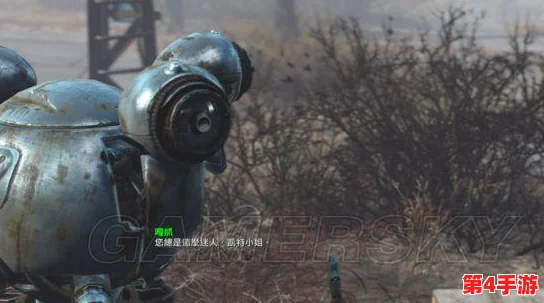 辐射4中哪位队友拥有卓越负重能力，助力探索无负担？