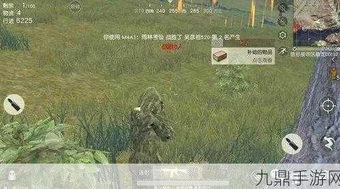 荣耀战场：揭秘手游伏地魔隐匿术，高效策略防突袭攻略