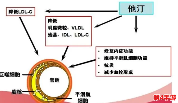 佳柔和医院长第7:在医疗服务中,如何平衡患者需求与医院管理的挑战与机遇分析 佳柔和医院长第7:在医疗服务中,如何平衡患者需求与医院管理的挑战与机遇分析