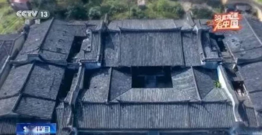 欧美ZoZ0人与物物动：解析这种现象对社会文化的影响及其背后的心理机制与未来发展趋势