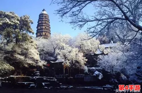 掌握《飞刀又见飞刀》手游白天羽精髓：技能搭配、成长路径与实战策略全攻略