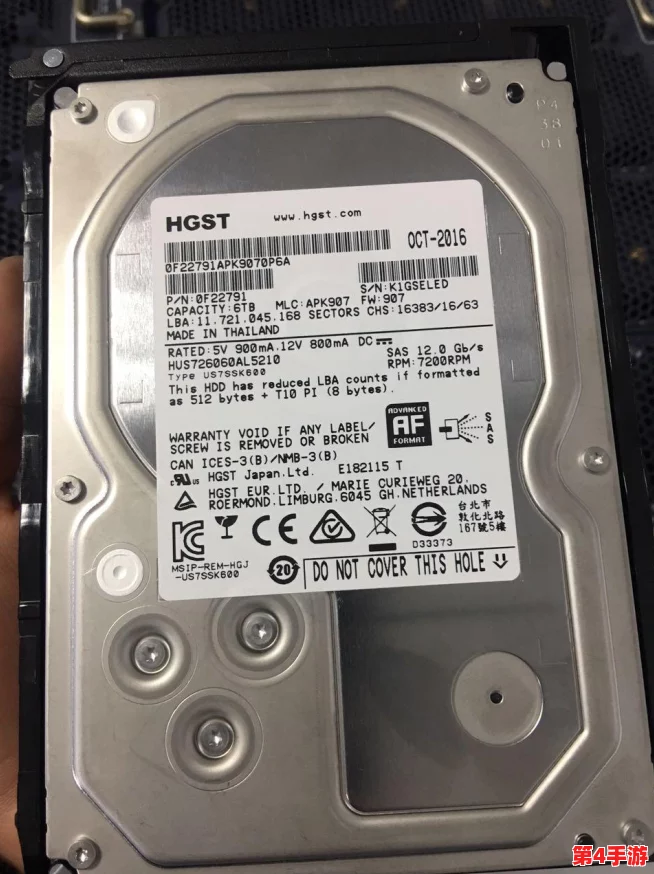 日本windowsserver高清度：网友热议其性能与稳定性，期待更多功能更新与优化体验