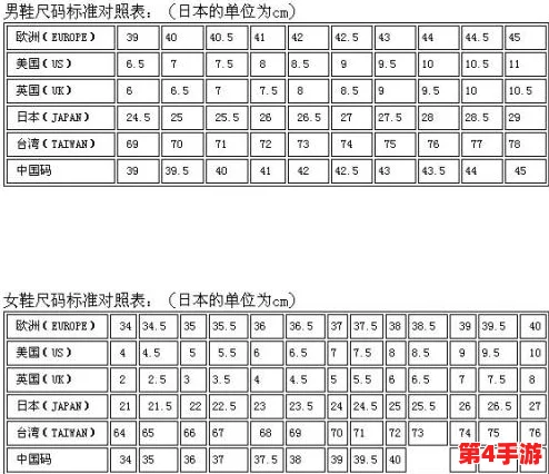 日本l码和中国码的区别：网友热议两国尺码标准差异，影响购物体验与选择的因素分析