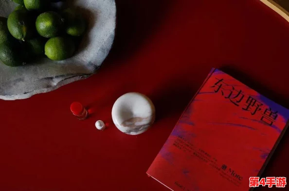 蘑菇君时尚盛宴启幕：第一届创意时装大赛规则全面剖析与参赛指南