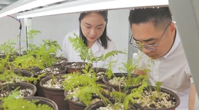 生物老师拿自己做繁育实验，成功培育出多种新型植物，引发学生们的热烈讨论与关注