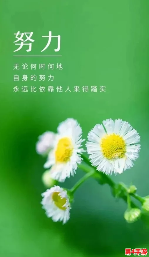 t66t今天更新，积极向上，努力拼搏，每一步都是向前迈进的动力