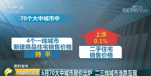 精产国品一二三区别9977：对中国制造业转型升级的深度分析与未来发展趋势研究