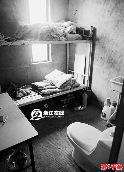 旱厕盗摄大屁股:揭示公共卫生设施中隐私侵犯现象的严重性与社会关注度提升的必要性 旱厕盗摄大屁股:揭示公共卫生设施中隐私侵犯现象的严重性与社会关注度提升的必要性